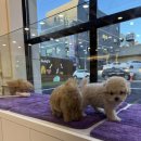 달링하이 포항점 이미지