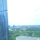 아트짐 복싱 | 2-20. Noosa, 주토피아, YhA 패밀리들, BBQ