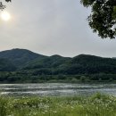 시고르까사 | 내 돈 내산 가평 청평 독채 펜션 솔직 후기 - 시고르까사