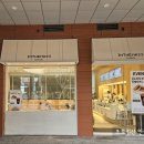 카페 인 이미지