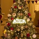 트리트리 이미지