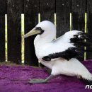 경남야생동물구조센터 이미지