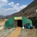 작은캠프 엔 하우스 | 양산 원동 사이드 무료제공 가성비 좋은 미나리캠프 삼겹살 후기