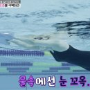 [무쇠소녀단] 멤버별 수영 실력&유인 선수한테 코칭 받은 후.gif 이미지