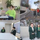 고기본색