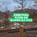 태백농장 이미지