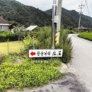 장승나라 소도 이미지