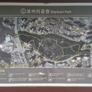 동탄센트럴파크 풋살구장 이미지