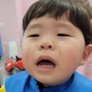 베베키즈헤어 네이버블로그