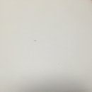 디자인베이직 이미지
