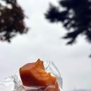 쿠키사무소지음 | 속초아이 근처 속초 디저트 맛집 쿠키사무소지음