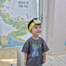 동물 꼬리를 찾아요 이미지