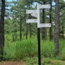 기시기천 이미지