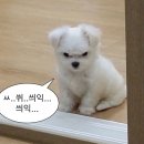 만듦팩토리 네이버블로그