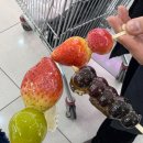 150010 | 하얼빈 길거리 음식 총정리-탕후루부터 마디얼 아이스크림까지 겨울간식 완벽 가이드