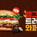 버거킹 화성향남DT점