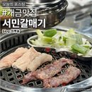 서민갈매기 이미지