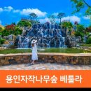 용인 자작나무숲 펜션 이미지