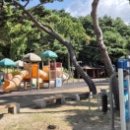 부춘산체육공원 이미지