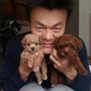 진성반점 - 진주시 동부로 1348 | 진성반점