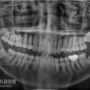 365서울앞선치과의원 이미지