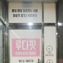 루다핏