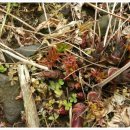 바산농장 이미지