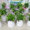 힐링아트문화생활협동조합 이미지