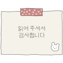 더 헤이븐(The Haven) 이미지