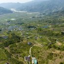 이세행정사·에이치알리서치 이미지