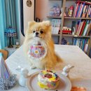 댕케이크 이미지