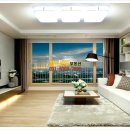 백조유치원 이미지