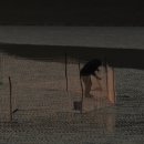 지니비치향 이미지