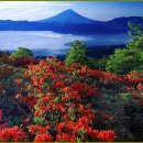 일본최고의높은명산후지산 이미지