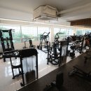 블랙맘바짐 이미지