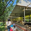 한우드림농장 이미지