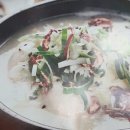 토속상황삼계탕 - 성남시 분당구 | 토속상황삼계탕