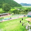 퍼피앤독 이미지