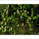 이렇게좋은날 이미지