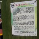 장대국수 이미지