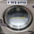 부영기계세탁 이미지