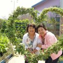 사모의집 이미지