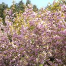 고성성심병원 이미지