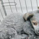 선산중앙로8길-1 이미지