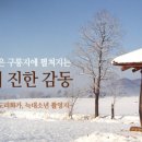농업회사법인 넓은들주식회사 이미지