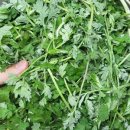 부주산 시민문화체육센터 이미지