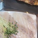 [성남] 신선하고 가성비 좋은 &#39;청춘종합어시장&#39; 내돈내산 후기