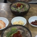 광명 | 제주 동문시장 현지 맛집 <광명식당> 순대국밥 솔직 후기(최자로드, 70년 전통)