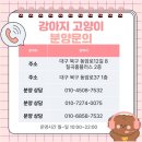 성주교통 | 성주 군위 영천 고양이분양 미유펫 건강관리 케어