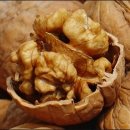 M 메디칼 이미지